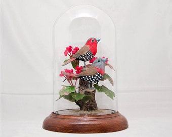 Peters Twinspots (African Estrildid Finch)