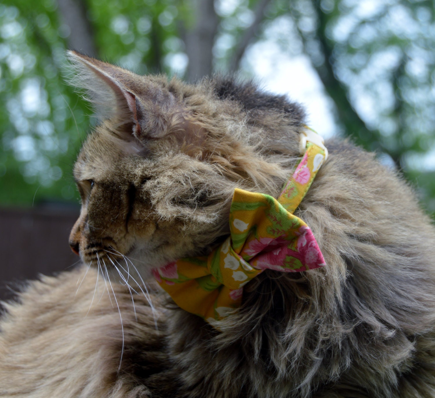 Yellow tropical cat bow tie hawaiian cat bow tie summer cat