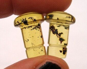 0g Single Flare Amber Plugs, 8mm Single Flare Amber Plugs, Single Flare Stone Plugs, Amber Earrings, Amber Jewelry, Single Flare Plugs, 8mm