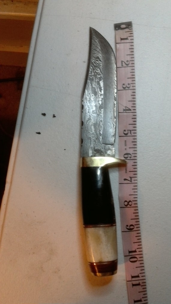 beautiful small hunting knife with buffalo horn and by KnicksNives