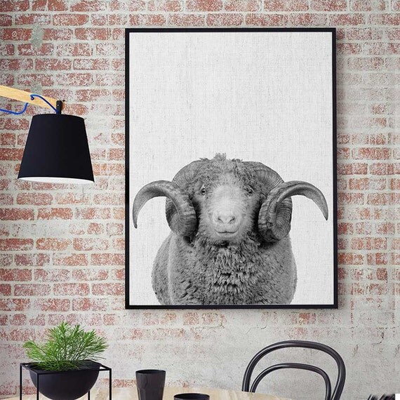 Ram Print Farm Ram Art Ram Head Wall Art Farm by DigitalSpot
