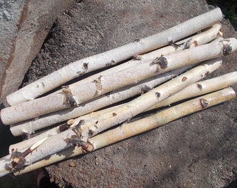 15 wood stick, birch sticks, wood decor, Birch Log, White Birch branches, decorative birch wood, birch logs, craft wood, eco wood, eco decor