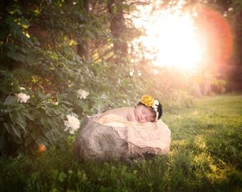 Digital Backdrop for Newborn Photography