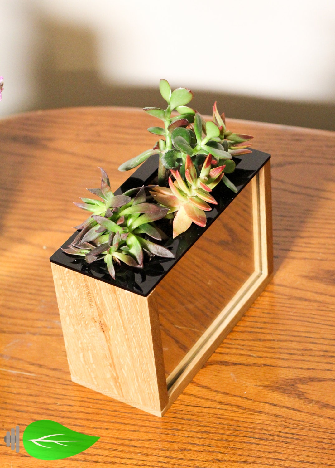 VASIC Mirror Vase/Planter Small & Wide Windowsill