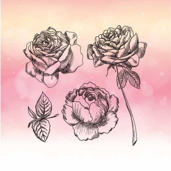 Hand drawn Rose SVG Vintage Rose SVG dxf eps pdf png by Linescut
