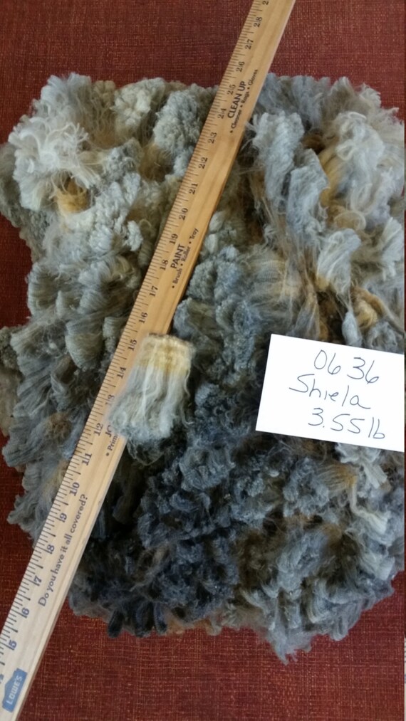Romeldale CVM lamb fleece