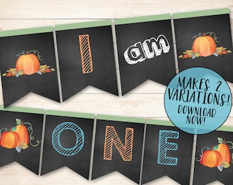 Boy Pumpkin Birthday Banner, Our Little Pumpkin Banner, High Chair One Banner, Pumpkin High Chair Banner, Birthday High Chair Banner