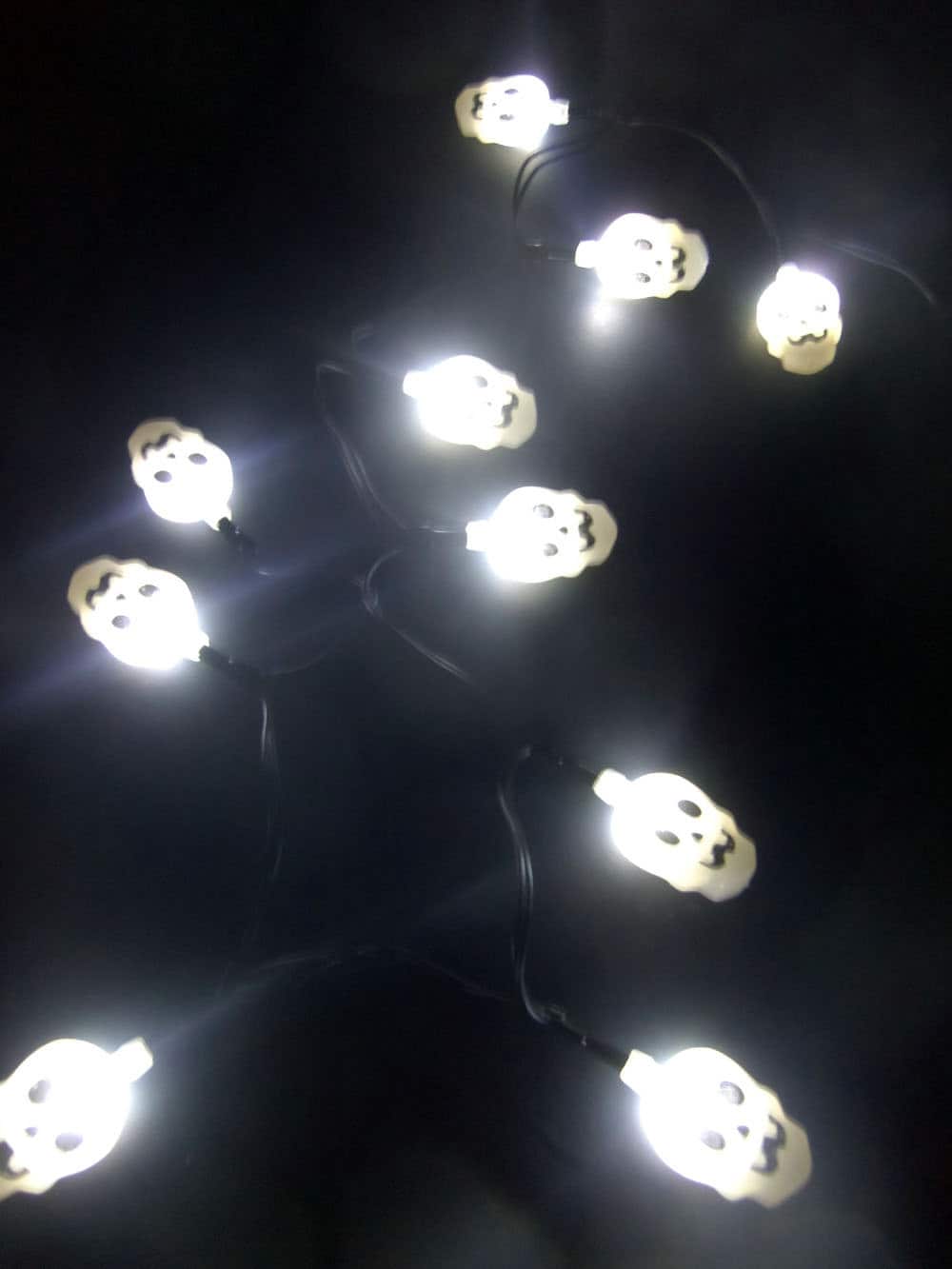 Halloween Skulls Lights 10 LED String Battery Power Operated