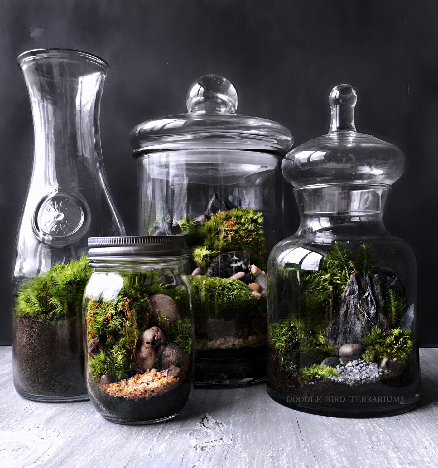 Milk Bottle Terrarium with Fresh Moss