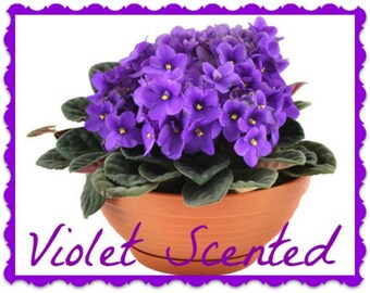 VIOLET SCENTED Soy Wax Melts - Floral - Flowers - Wickless Candle - Wax Tarts - Highly Scented - Hand Made in USA