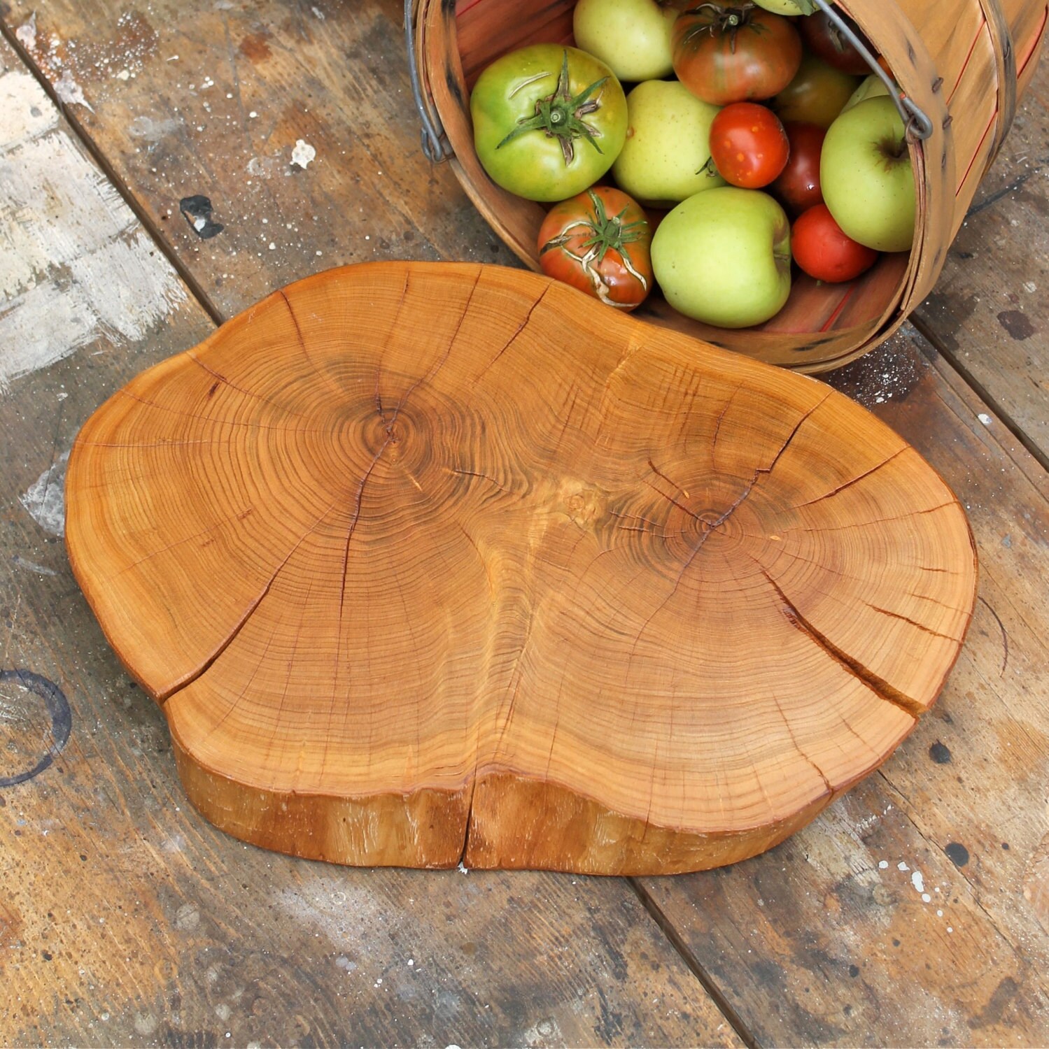 Tree Stump Slice Holiday Woodland Table Decor Stand