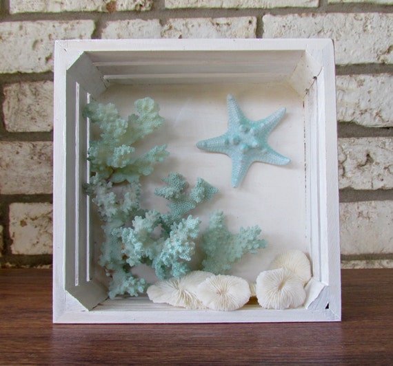 Coastal Shadow Box with Coral and Starfish