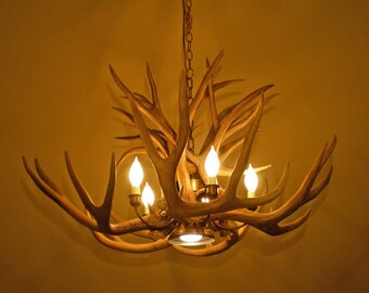 Mule Deer Real Antler Chandelier with downlight