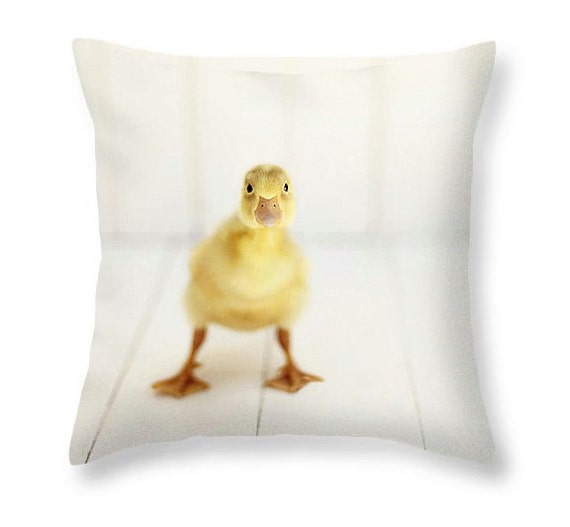 pillow pets duck