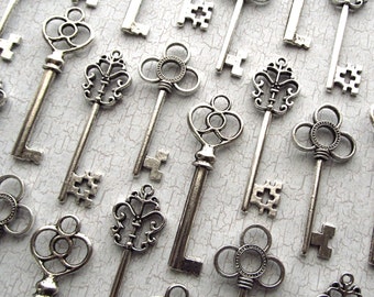 The Alice Collection - Skeleton Key Assortment in Silver - Set of 30 Keys - Three Styles