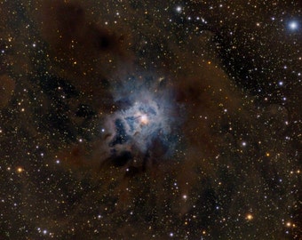 Iris Nebula (4x6, 8.5x11 or 13x19 print)