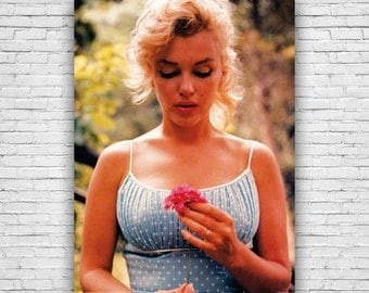 Marilyn Monroe, American Popular Culture Icon, Beautiful Flower Color Photography Poster