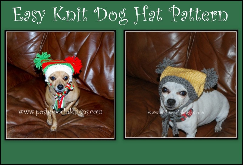 Easy Knit Dog Hat Instant Download Knitting Pattern