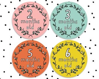 12 x Extra Large Milestone Stickers - Baby Stickers for Monthly Milestone Bodysuit Photos - Monthly Baby Stickers - Ages 1-12 months