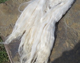 Extremely Long Suri Locks "Sir Winfred"