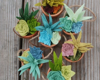 Download Tiny Felt Succulents in a Clay Pot Faux Succulents Potted