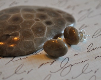 Petoskey stone stud earrings with, Up North earrings, Lake Michigan earrings, fossil