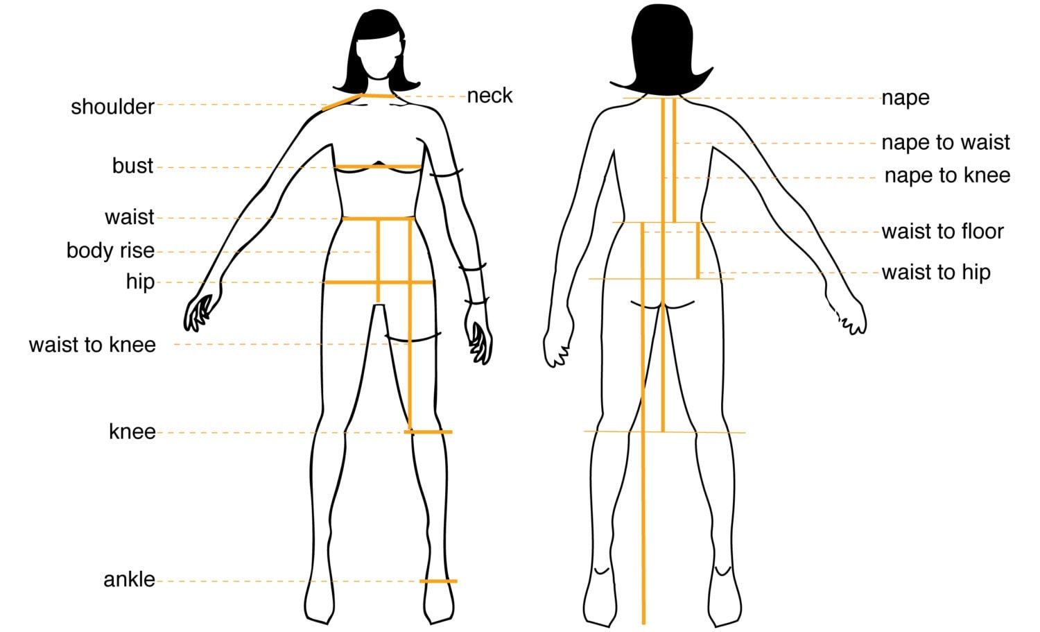 what body type do i have measurements