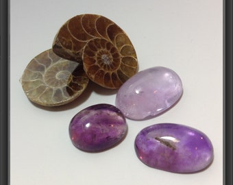 Cabochons mix/ free ammonite