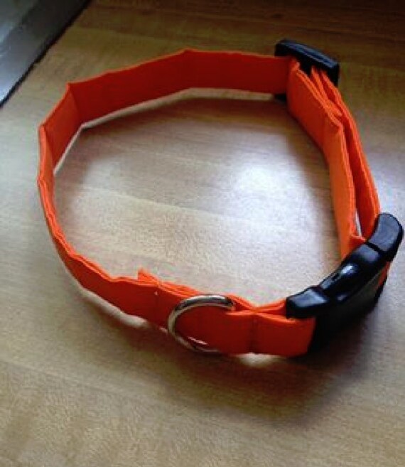 Bright Orange Dog Collar Perfect for Hunting Dogs