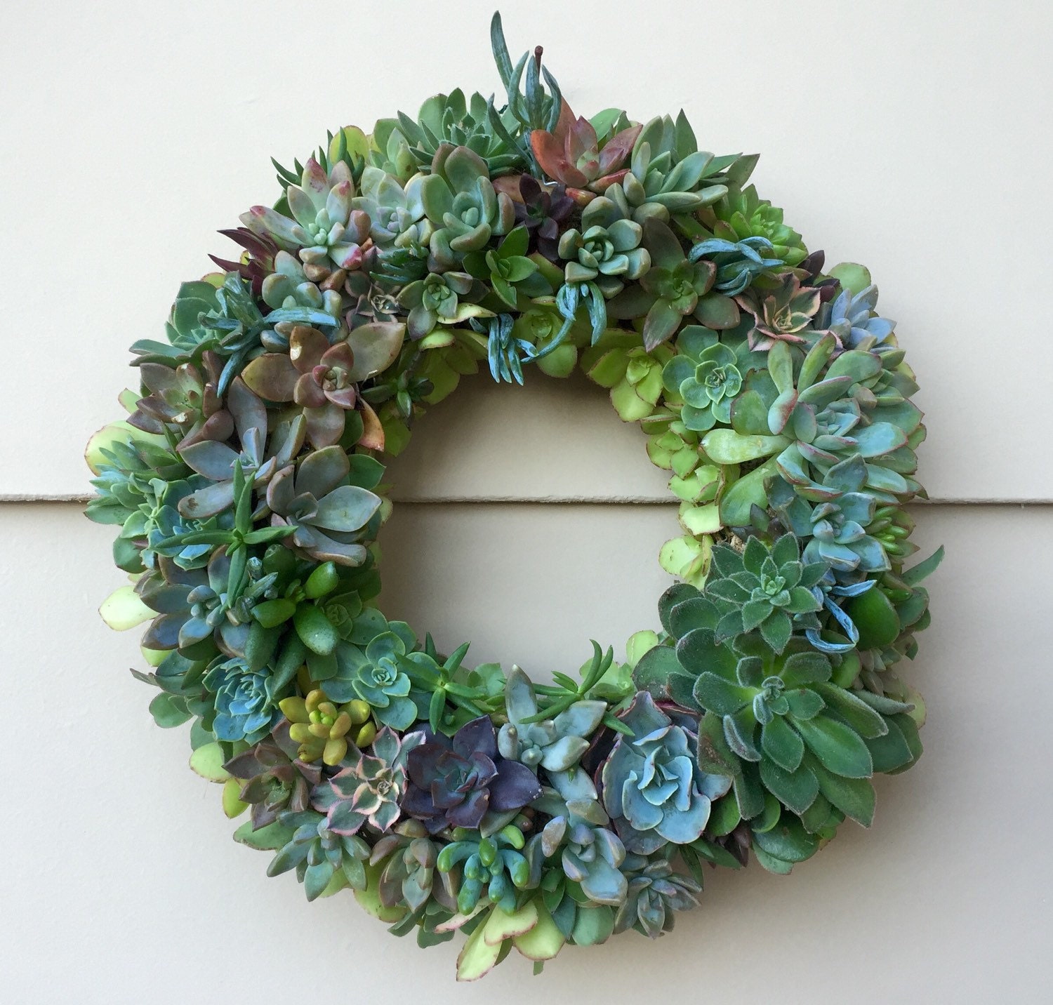 DIY 10.5" Succulent Wreath! The perfect holiday gift for your loved ones.