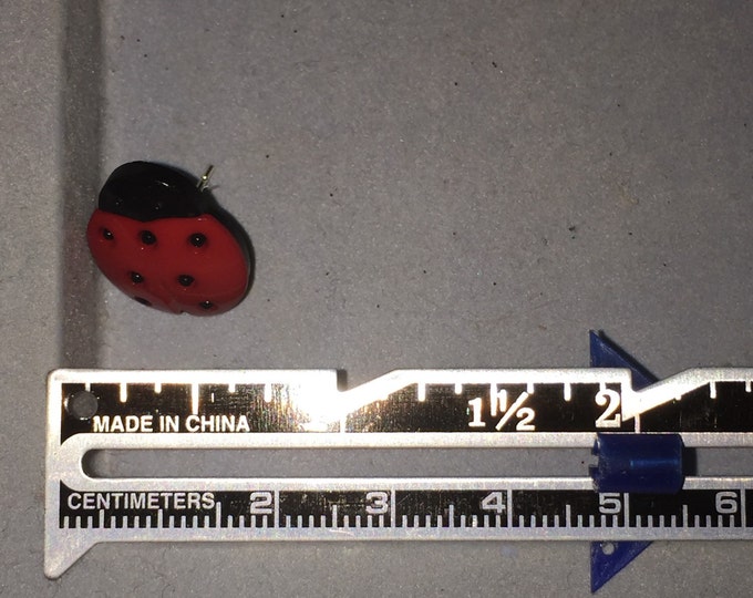 Ladybugs (large)