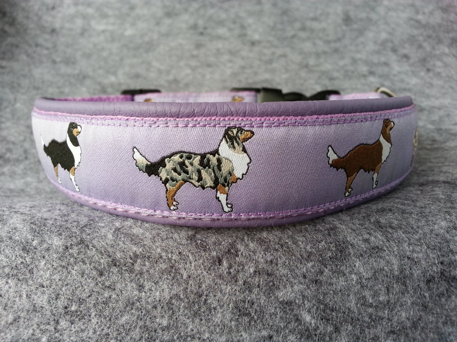Dog Collar AUSSIE padded with leather