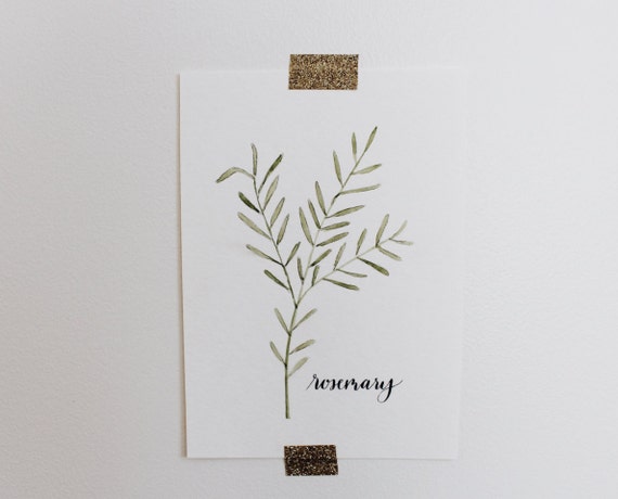 Rosemary Hand Painted Watercolor Herb