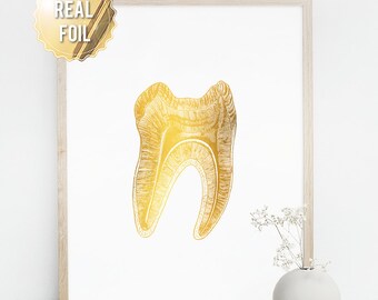 Dentist Gift - Gifts for Dentist - Gold Foil Print Tooth - Dentist Art - Dentist Graduation Gift - Dentistry Office Wall Art - Medical Art