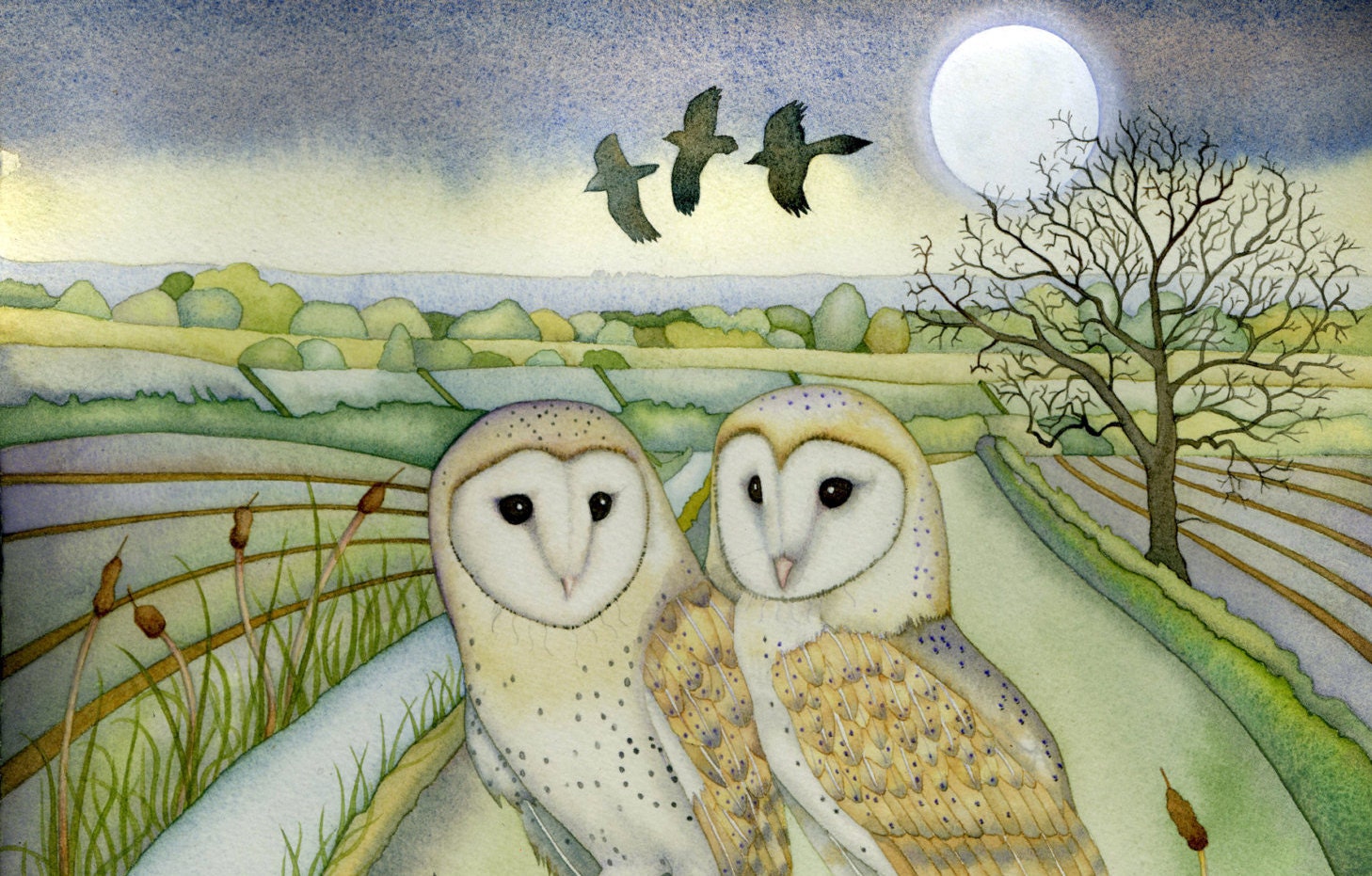 Barn Owls Giclee print.