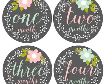 FREE GIFT, Baby Girl Monthly Stickers, Baby Month Stickers, Milestone Bodysuit Floral Wreath, Photo Prop Pink Mint