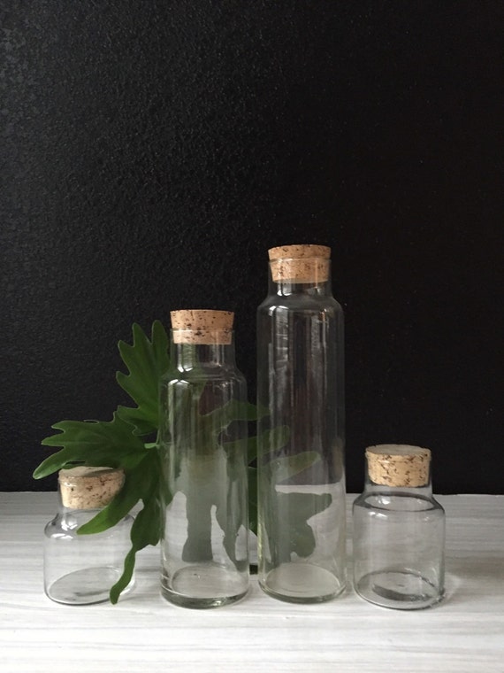cork lid glass apothecary jar collection / curio display glass
