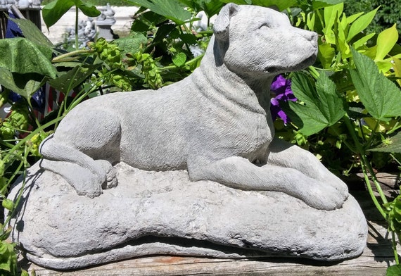 cement pitbull statue