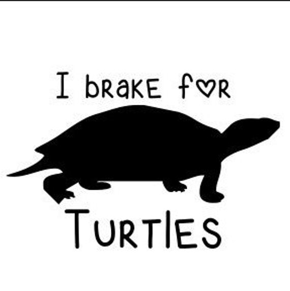 I Brake For Turtles Decal for Car Window Locker Laptop and