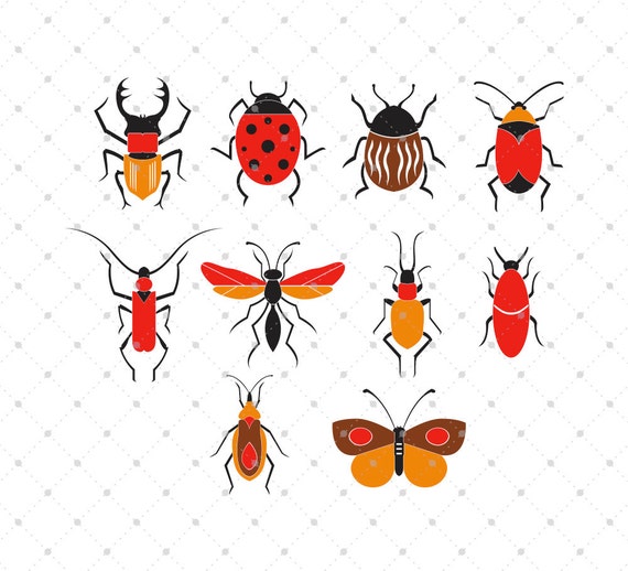 Download Bugs SVG Cut Files Insects SVG Cut Files for Cricut