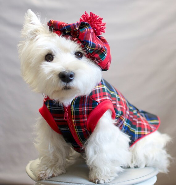 Hat tartan Scottish plaid dog pet hat by CiuCiuDogClothes on Etsy
