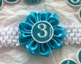 Endearing Aqua Baby Girl Month Sticker Headband, Milestone Month Headband, Baby Girl Monthly Headband, Monthly Sticker, Felt Flower Headband