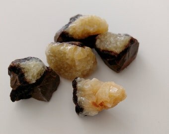 Raw Septarian Gemstones~Healing Crystals~Crystal for Healing~Gemstones for Healing~Gemstones for Calming~Gemstones for Patience~Confidence