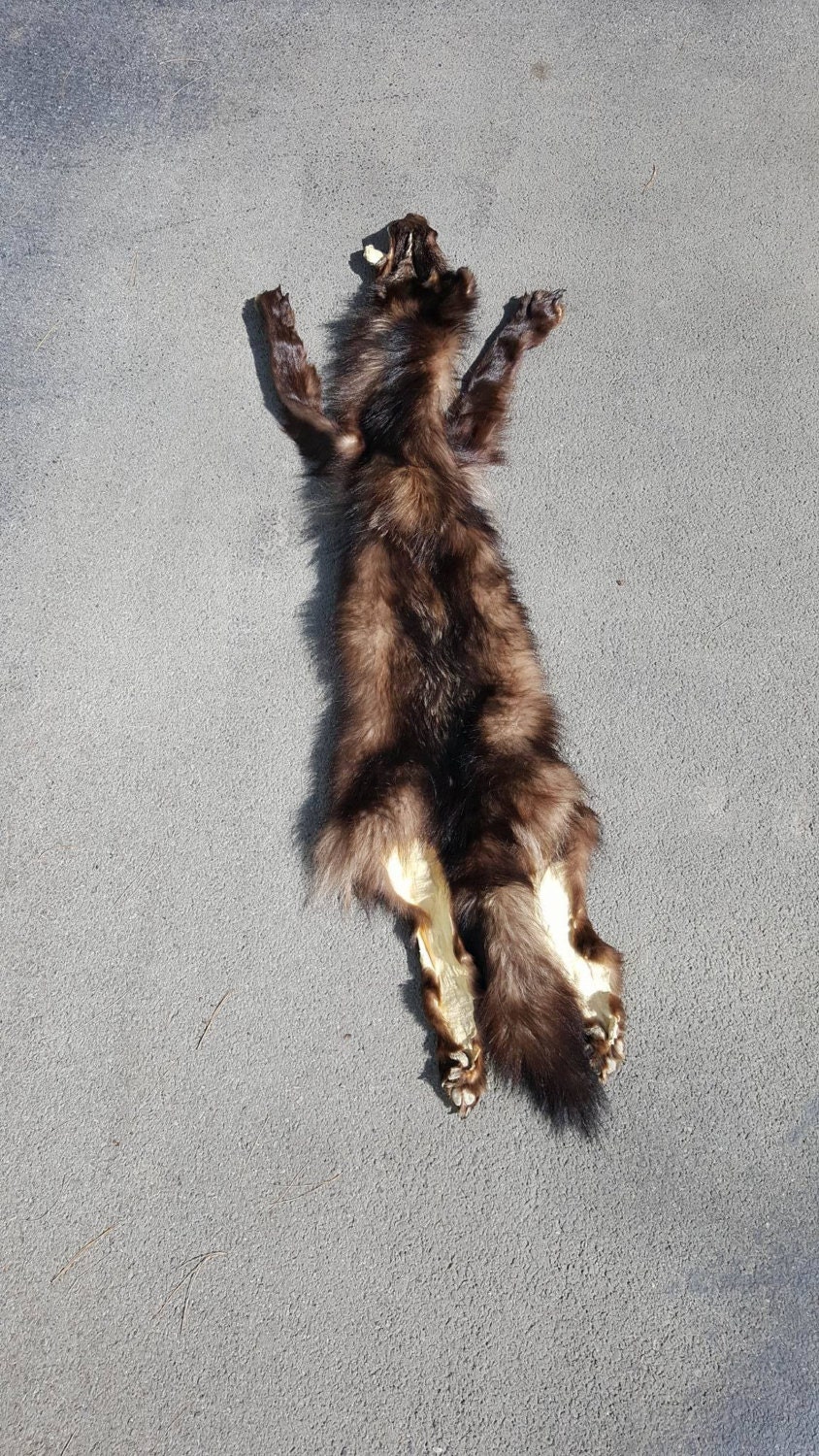 Black wolf pelt by SurrexisCreations on Etsy