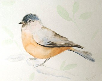 Bird painting, Original watercolor painting of bird, watercolor bird painting, bird on branch painting, bird art original, bird lover decor