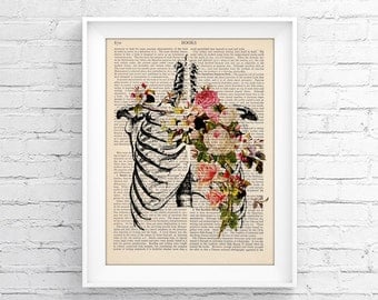 Anatomy print Upcycled Page, book Print Vintage Illustration Print - Skeleton - Medical Wall decor, Retro Poster, Vintage Book print 032