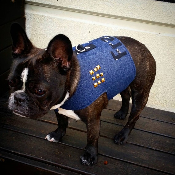 Items similar to Custom made French Bulldog Denim Vest, Dog Vest, Dog