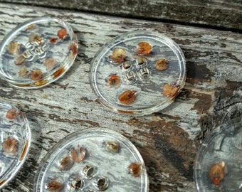 Real flower button, handmade button, round button, 3 cm button,boutons nature, unusual buttons, resin buttons, seed buttons, cute buttons