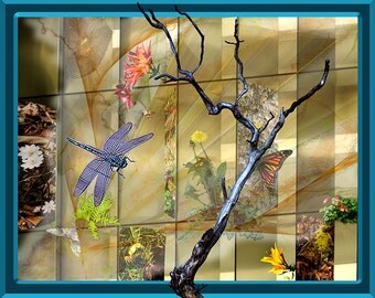 Joseph Cornell Birds Joseph Cornell Birds