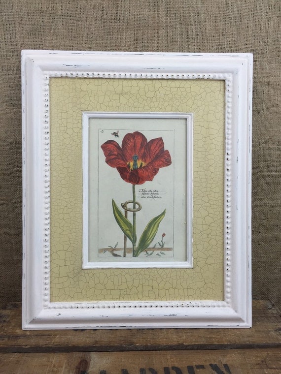BOTANICAL PRINTS / Vintage Style Framed Botanical Prints / Vintage Botanicals / Large Framed Prints / Cream Crackle Glaze Frames